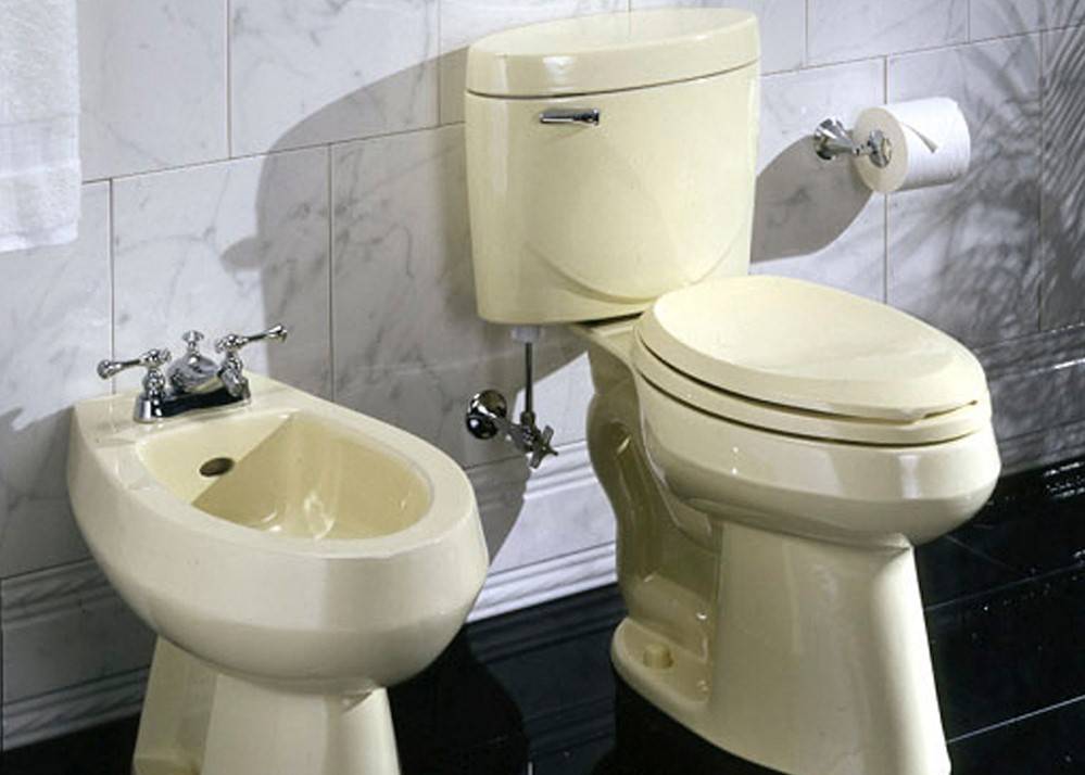 Bidet Buying Guide Ivyel